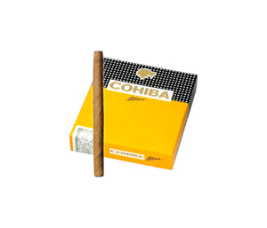 Cohiba cigar with a box on a white background