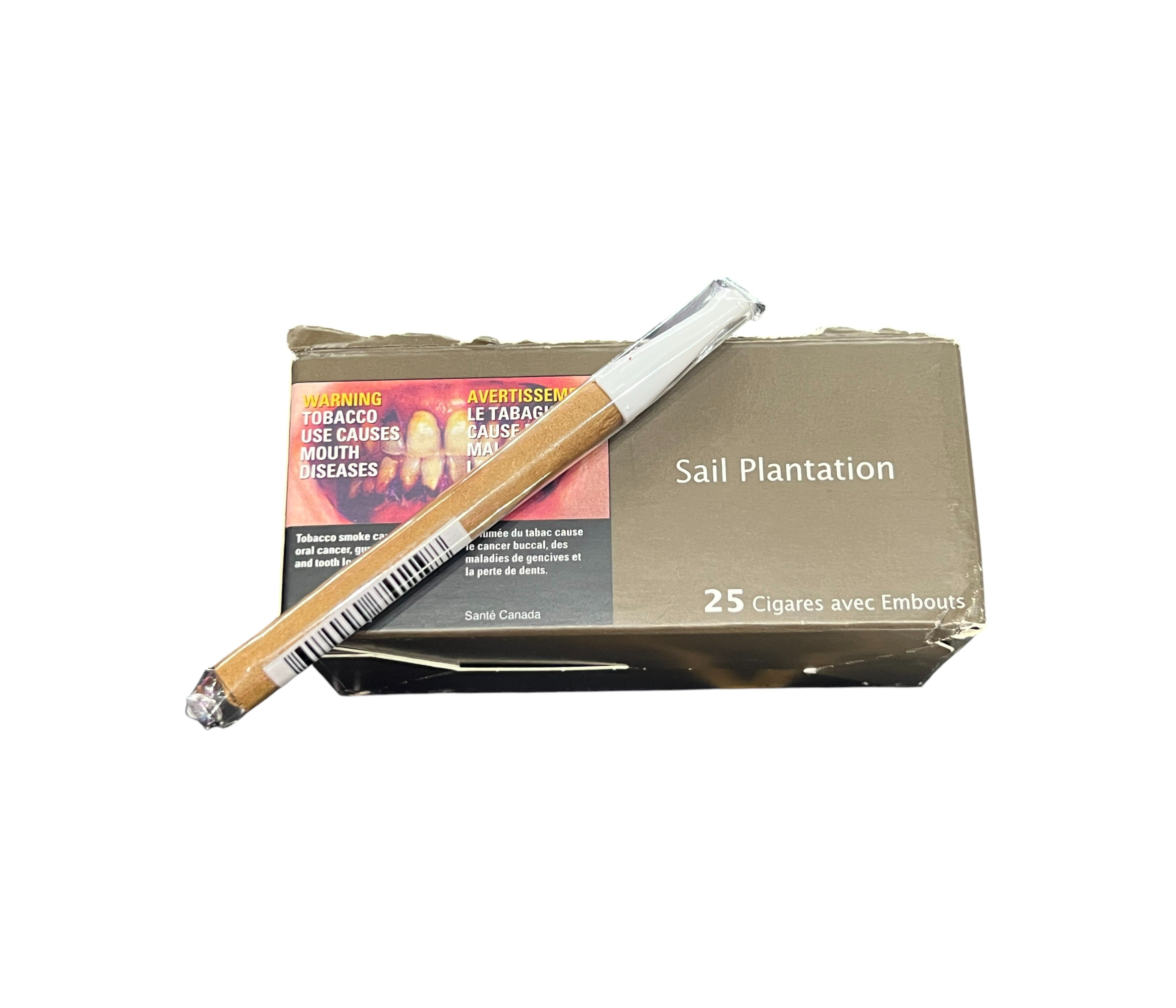 Cigarette pack with a single cigarette displayed on a white background