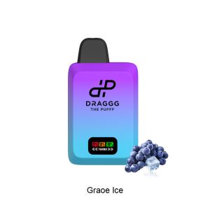 Draggg Mini 2K